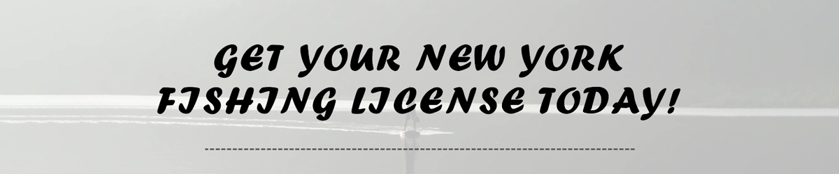 How to get Fishing License in New York