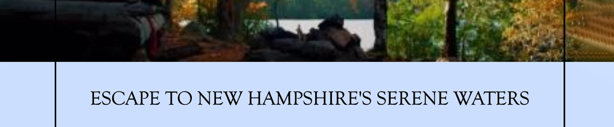 Title of the article New Hampshire Fishing License