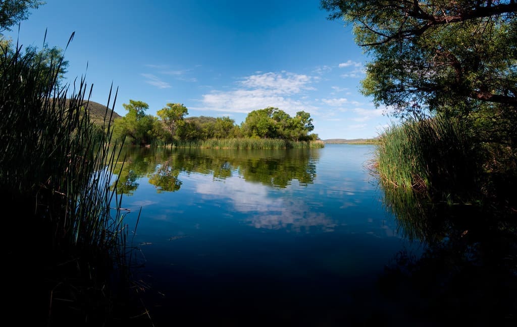 The Best Fishing Spots in Lake Patagonia, Arizona state
