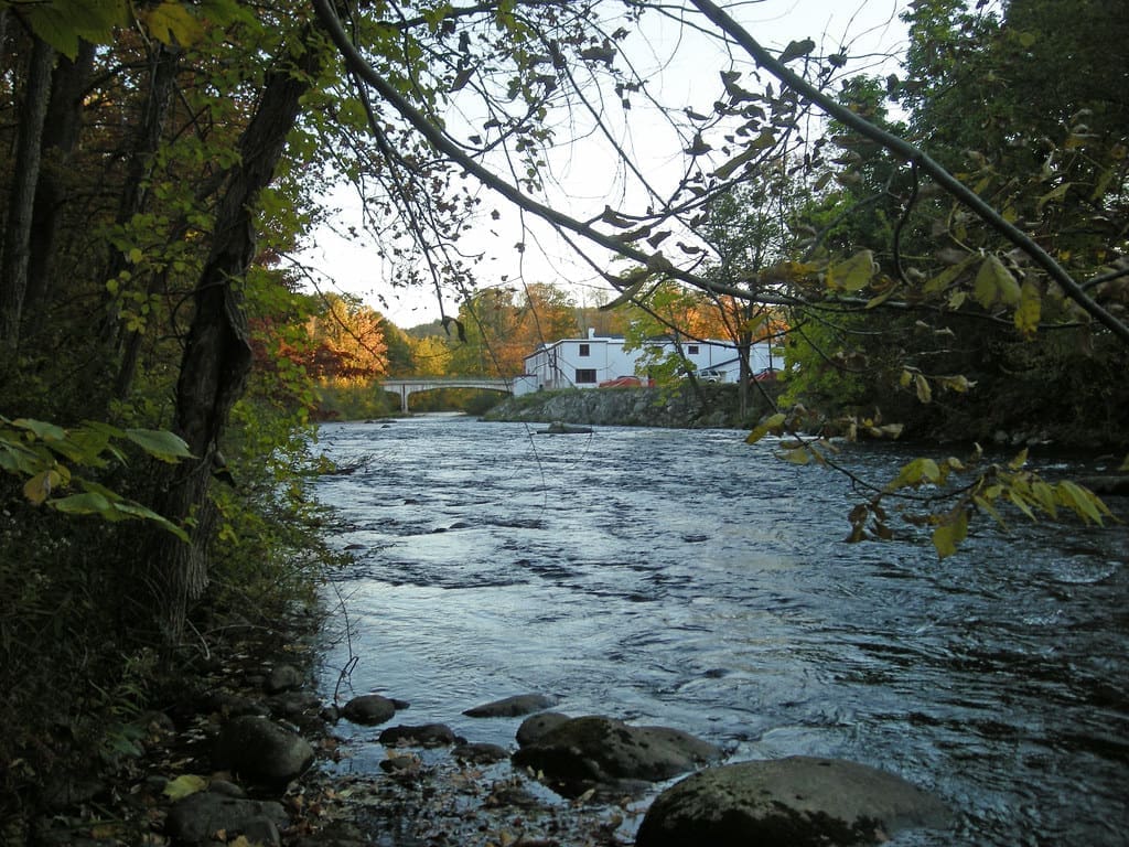 Top Fishing Hotspots in Farmington River, Connecticut