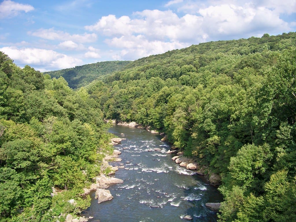 Top Youghiogheny River Fishing Spots in Maryland Revealed