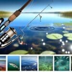 Water Types: Ultimate Fishing Spots for Beginners